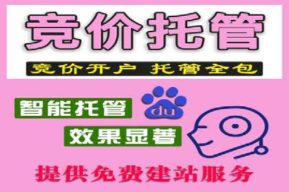 大型SEM服务公司案例分析